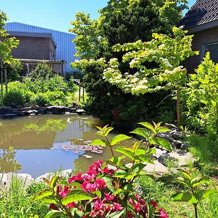 Luxe Ruime Studio Op Unieke, Rustige Locatie 多克姆 外观 照片