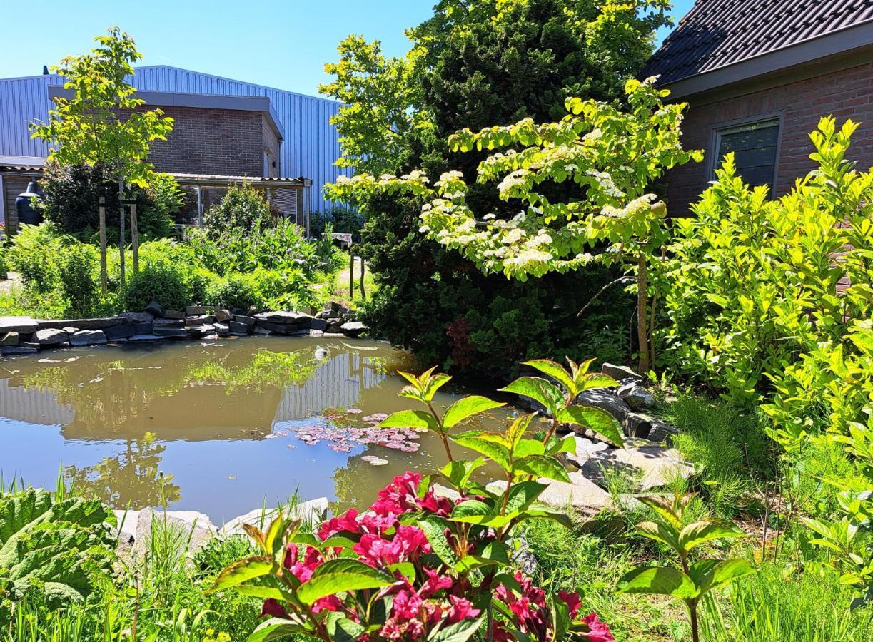 Luxe Ruime Studio Op Unieke, Rustige Locatie 多克姆 外观 照片